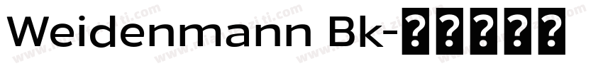 Weidenmann Bk字体转换